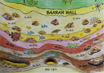 Baarah Wall